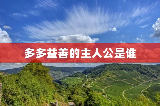多多益善的主人公是谁