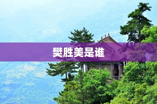 樊胜美是谁
