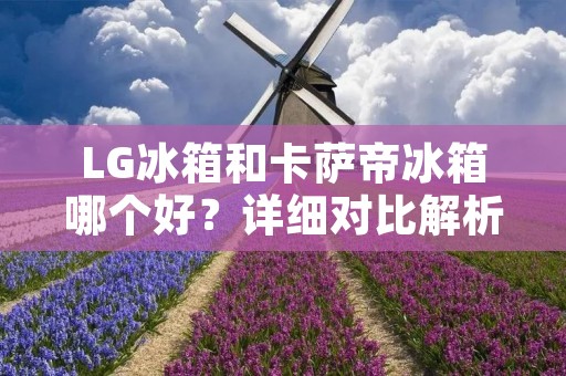 LG冰箱和卡萨帝冰箱哪个好?详细对比解析