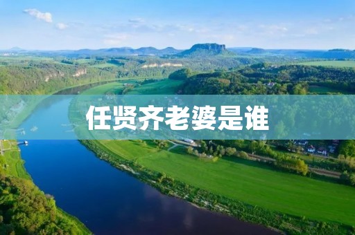 任贤齐老婆是谁