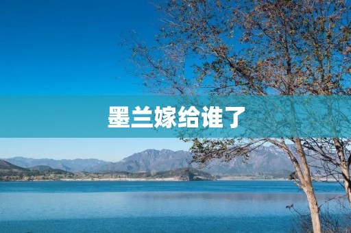 墨兰嫁给谁了