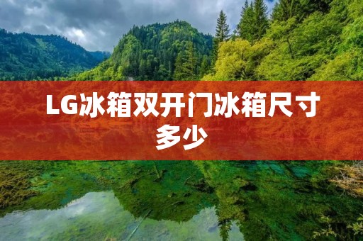 LG冰箱**门冰箱尺寸多少