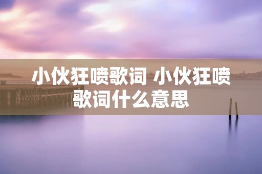 小伙狂喷歌词 小伙狂喷歌词什么意思