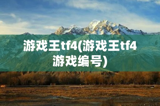 游戏王tf4(游戏王tf4游戏编号)