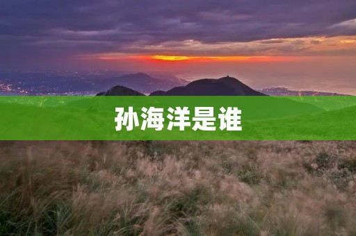 孙海洋是谁