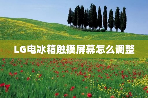 LG电冰箱触摸屏幕怎么调整:一步步教你如何操作 LG电冰箱触摸屏幕怎么调整:一步步教你如何操作