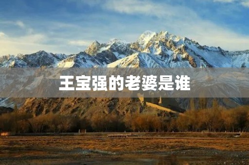 王宝强的老婆是谁 王宝强的老婆是谁