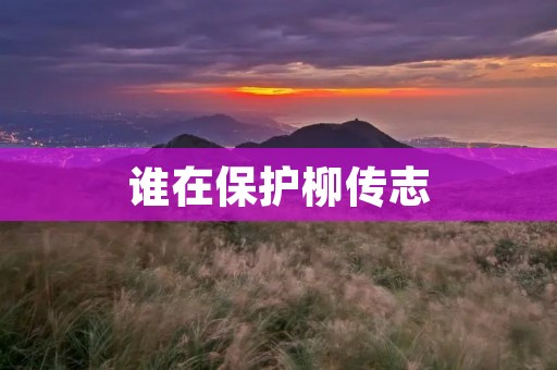 谁在保护柳传志