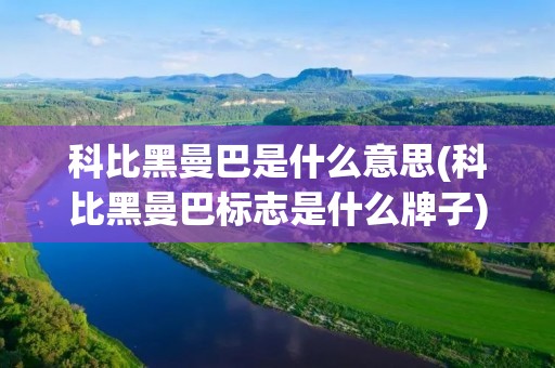 科比黑曼巴是什么意思(科比黑曼巴标志是什么牌子)