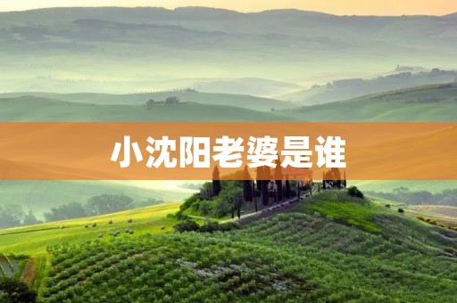 小沈阳老婆是谁 小沈阳老婆是谁