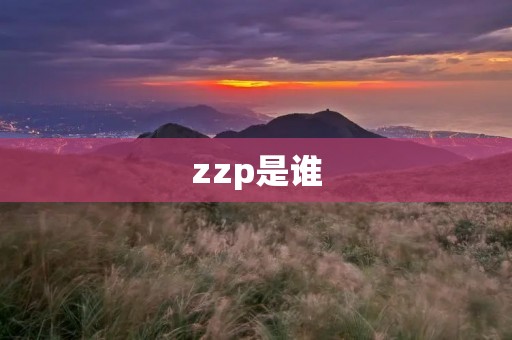 zzp是谁 zzp是谁