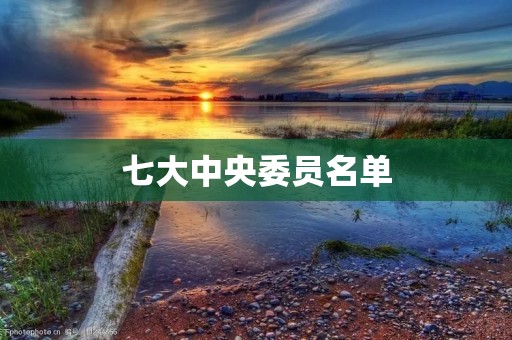 七大中央委员名单
