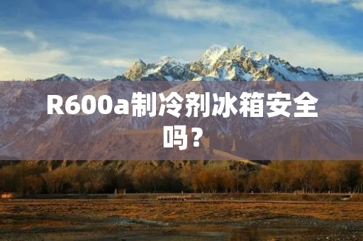 R600a制冷剂冰箱安全吗? R600a制冷剂冰箱安全吗?
