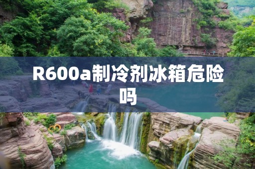 R600a制冷剂冰箱危险吗:详细解析 R600a制冷剂冰箱危险吗:详细解析