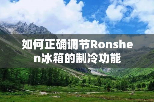 如何正确调节Ronshen冰箱的制冷功能 如何正确调节Ronshen冰箱的制冷功能