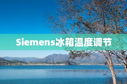 Siemens冰箱温度调节:如何根据食材需求精确设定温度 Siemens冰箱温度调节:如何根据食材需求精确设定温度