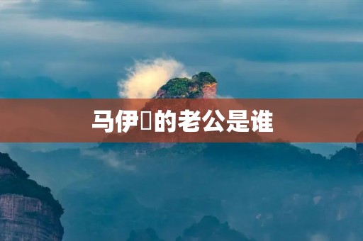 马伊琍的老公是谁 马伊琍的老公是谁