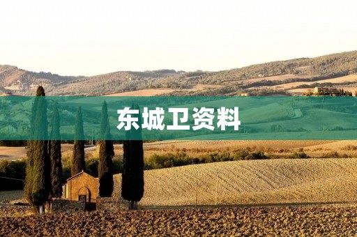 东城卫资料:了解中国古代东城卫的历史和特点 东城卫资料:了解中国古代东城卫的历史和特点