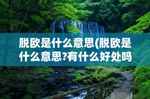 脱欧是什么意思(脱欧是什么意思?有什么好处吗?)