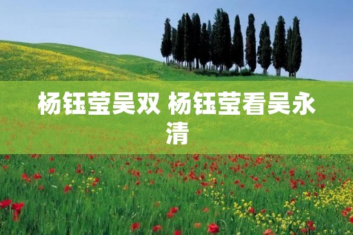 杨钰莹吴双 杨钰莹看吴永清