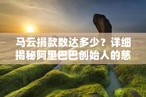 马云捐款数达多少？详细揭秘阿里巴巴创始人的慈善之举