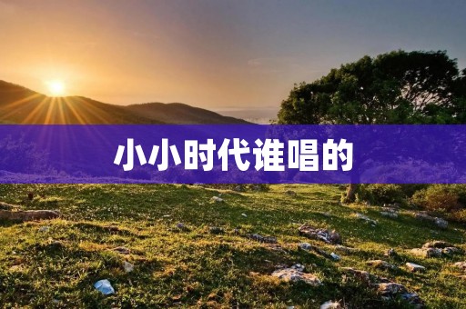 小小时代谁唱的