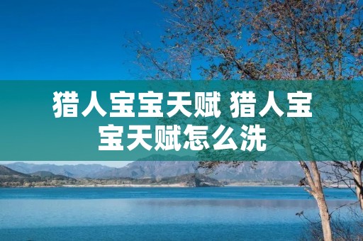 猎人宝宝天赋 猎人宝宝天赋怎么洗 猎人宝宝天赋 猎人宝宝天赋怎么洗