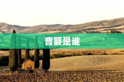曹婴是谁 曹婴是谁