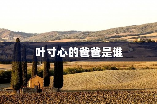 叶寸心的爸爸是谁