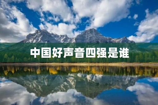 中国好声音四强是谁