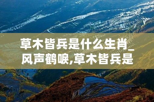 草木皆兵是什么生肖_风声鹤唳,草木皆兵是什么生肖 草木皆兵是什么生肖_风声鹤唳,草木皆兵是什么生肖