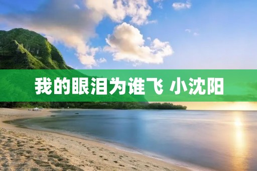 我的眼泪为谁飞 小沈阳