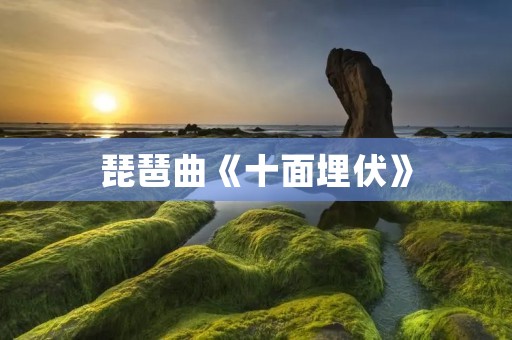 琵琶曲《十面埋伏》:古韵与现代艺术的完美融合 琵琶曲《十面埋伏》:古韵与现代艺术的完美融合