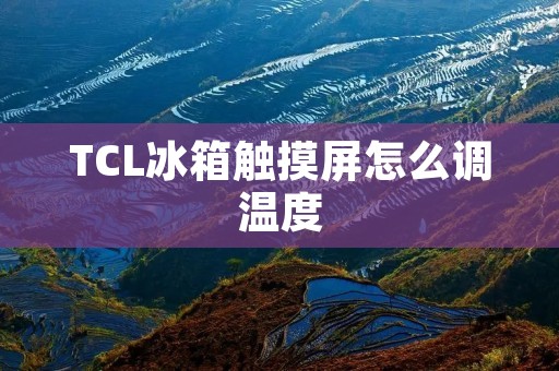 TCL冰箱触摸屏怎么调温度:详细解析 TCL冰箱触摸屏怎么调温度:详细解析