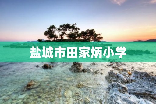 盐城市田家炳小学:培育未来的摇篮 盐城市田家炳小学:培育未来的摇篮