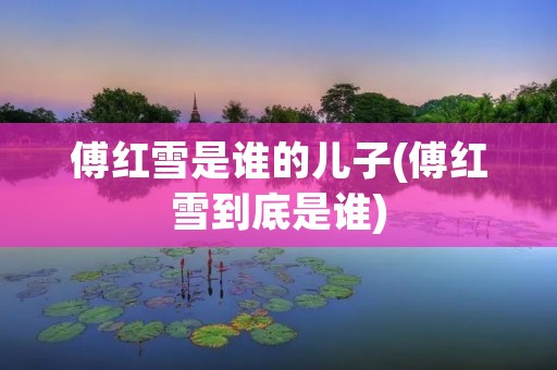 傅红雪是谁的儿子(傅红雪到底是谁)