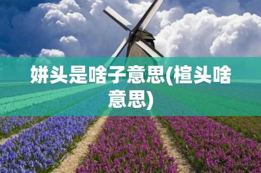 姘头是啥子意思(楦头啥意思)