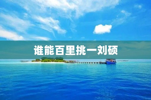 谁能百里挑一刘硕