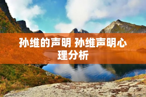 孙维的声明 孙维声明心理分析 孙维的声明 孙维声明心理分析