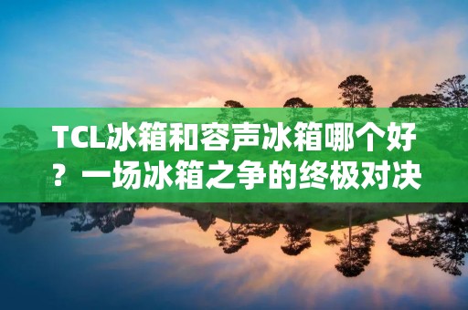 TCL冰箱和容声冰箱哪个好？一场冰箱之争的终极对决！