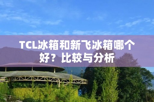 TCL冰箱和新飞冰箱哪个好？比较与分析