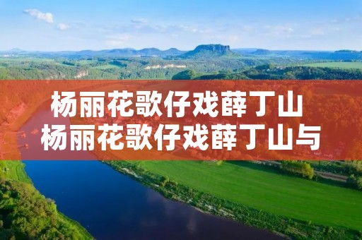 杨丽花歌仔戏薛丁山 杨丽花歌仔戏薛丁山与樊梨花第10集 杨丽花歌仔戏薛丁山 杨丽花歌仔戏薛丁山与樊梨花第10集