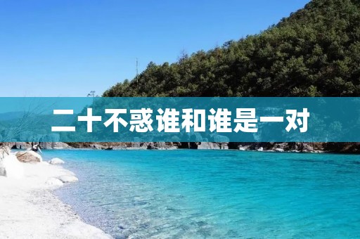 二十不惑谁和谁是一对