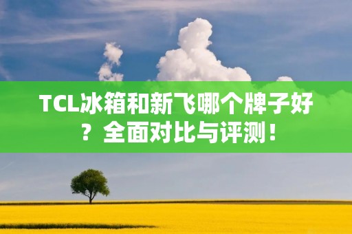 TCL冰箱和新飞哪个牌子好？全面对比与评测！