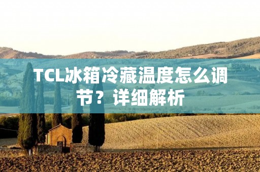 TCL冰箱冷藏温度怎么调节？详细解析