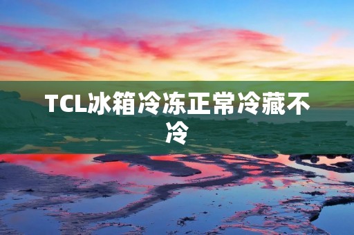 TCL冰箱冷冻正常冷藏不冷：原因分析与解决方法