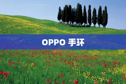 OPPO 手环:引领智能健康时尚的新潮流 OPPO 手环:引领智能健康时尚的新潮流