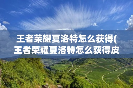 王者荣耀夏洛特怎么获得(王者荣耀夏洛特怎么获得皮肤)