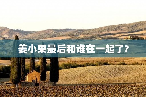姜小果最后和谁在一起了?