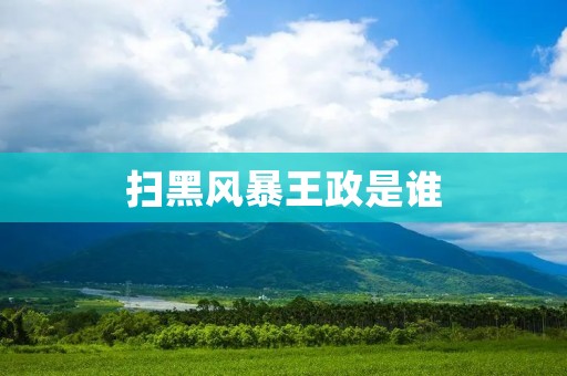 扫黑风暴王政是谁
